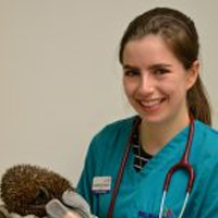 Catherine Roberts - Assistant Veterinary Surgeon